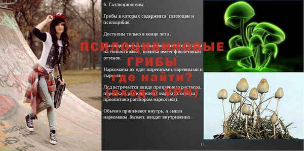 PSILOCYBIN Абинск