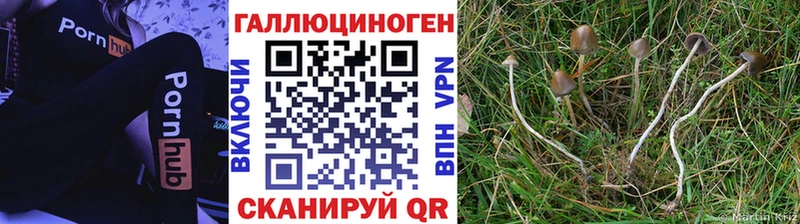 Псилоцибиновые грибы Magic Shrooms  магазин продажи наркотиков  Нариманов 